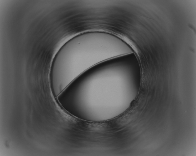 X0000093160951200709261033