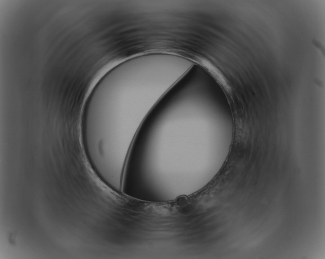 X0000093160955200709261033