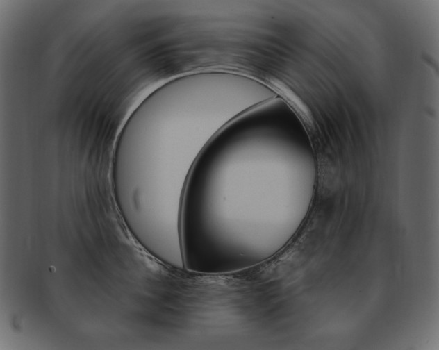 X0000093160956200709261033