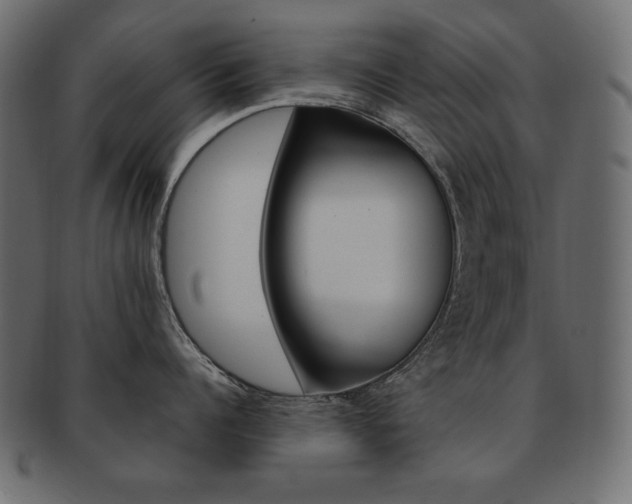 X0000093160960200709261033