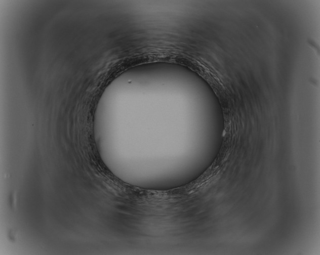 X0000093160961200709261033