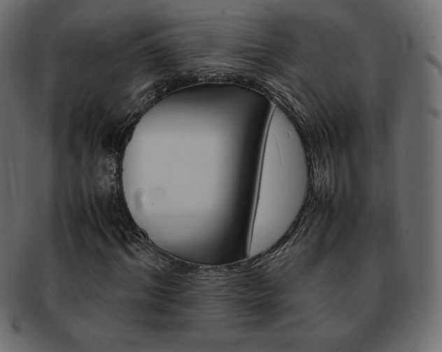 X0000093160964200709261033