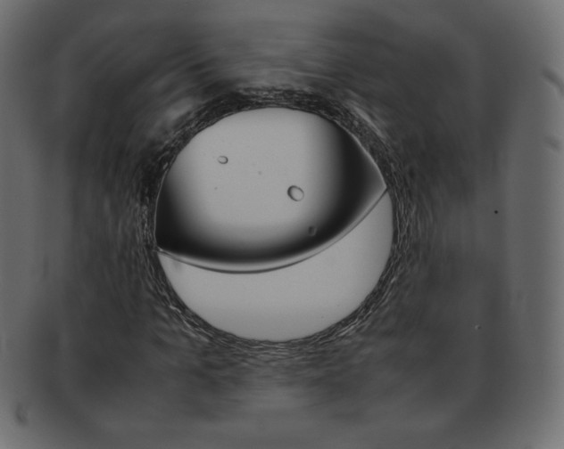 X0000093160965200709261033