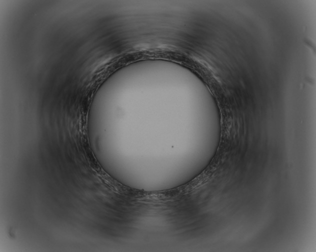 X0000093160966200709261033