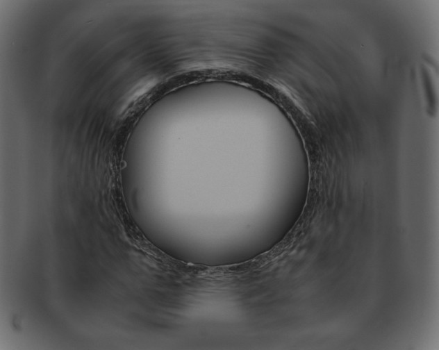 X0000093160967200709261033