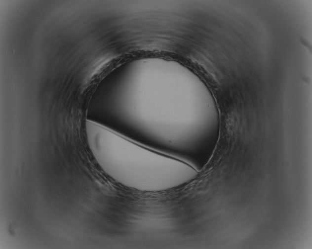X0000093160968200709261033