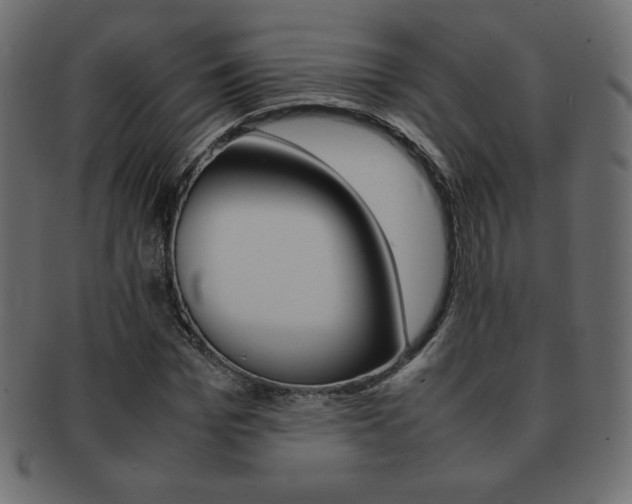 X0000093160969200709261033