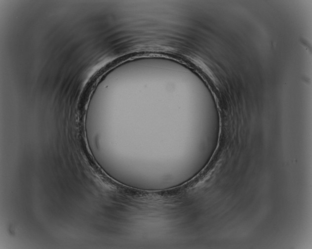 X0000093160971200709261033