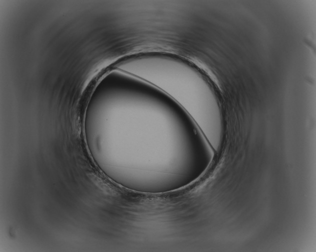 X0000093160973200709261033