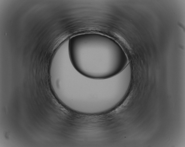 X0000093160977200709261032