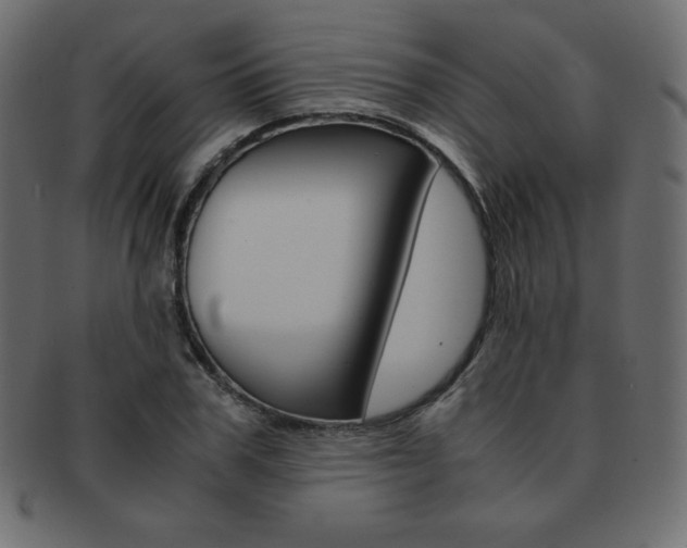 X0000093160979200709261032