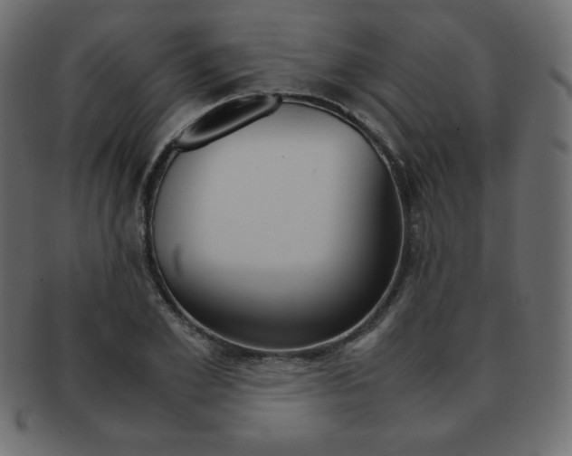X0000093160981200709261032