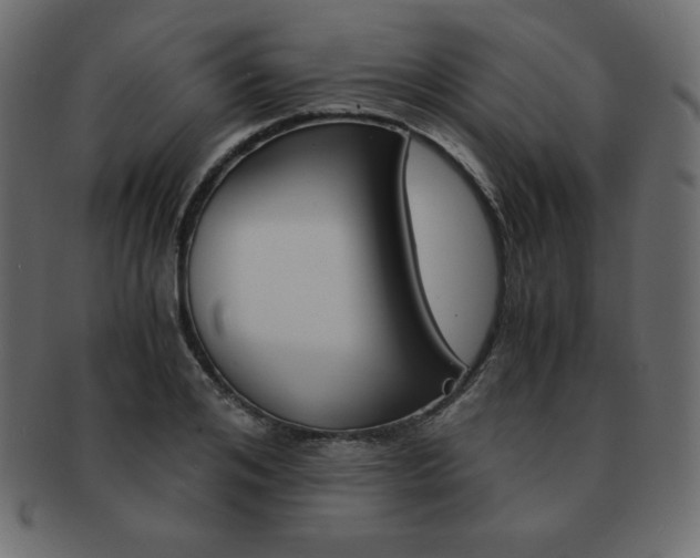X0000093160984200709261032
