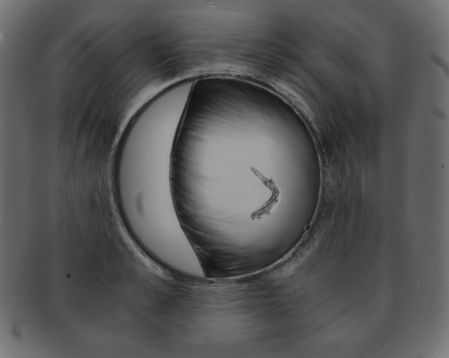 X0000093160989200709261032
