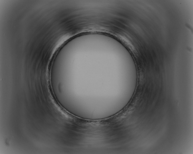 X0000093160990200709261032