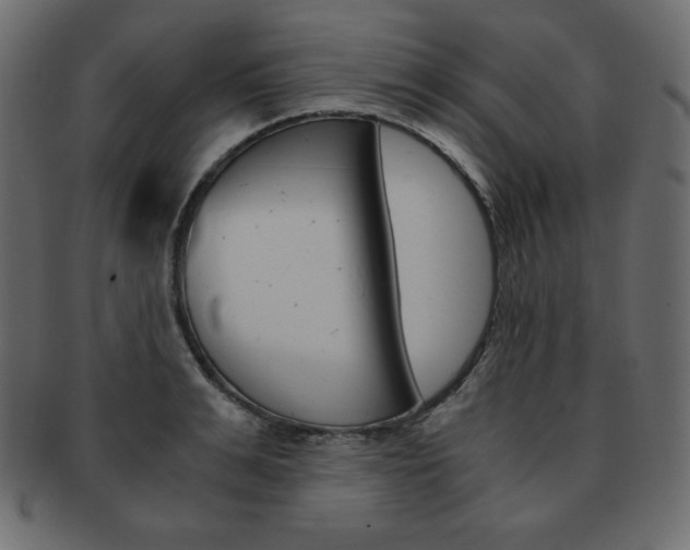 X0000093160991200709261032
