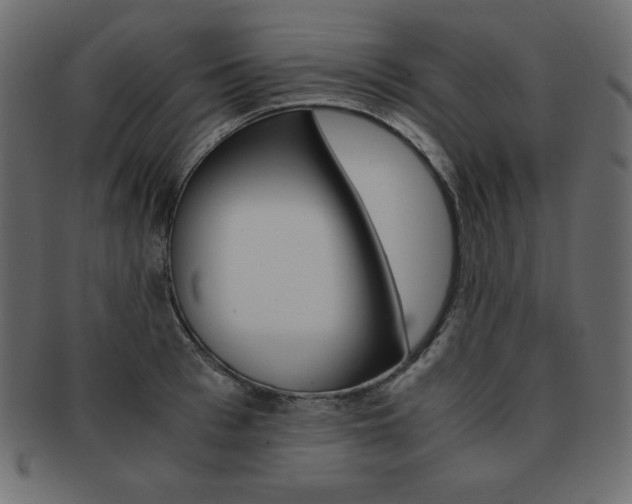 X0000093160993200709261032