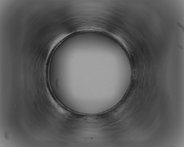 X0000093160995200709261032