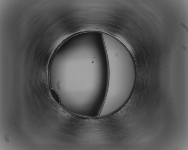 X0000093160996200709261032