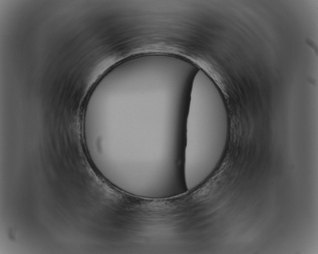X0000093160998200709261032