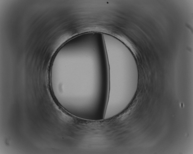 X0000093160999200709261032