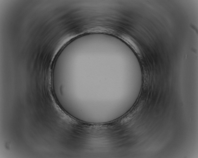 X0000093161000200709261032