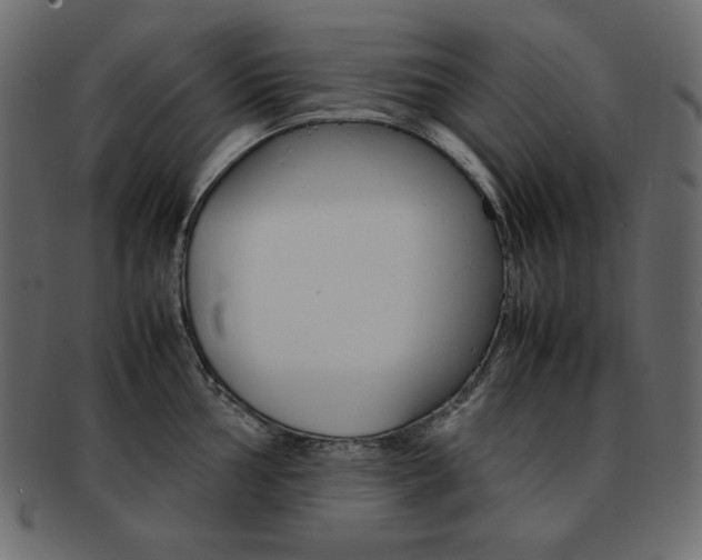 X0000093161002200709261032