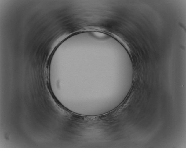 X0000093161003200709261032