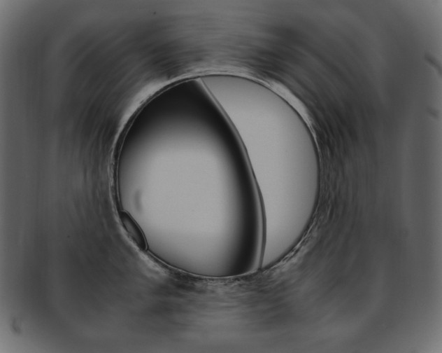 X0000093161005200709261032