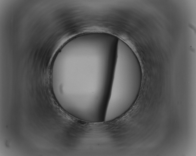 X0000093161008200709261032