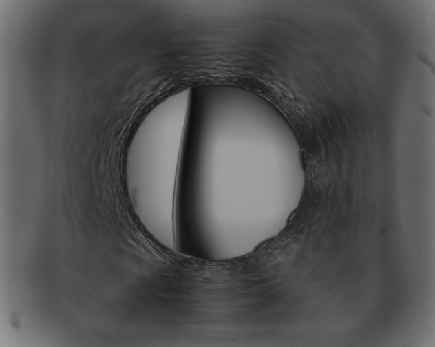 X0000093161009200709261031
