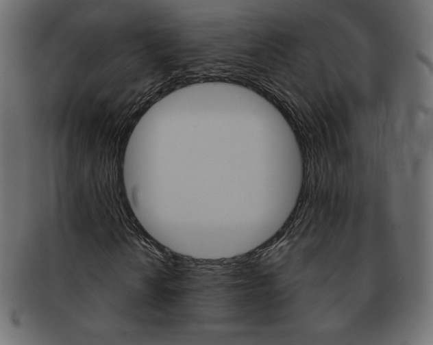 X0000093161010200709261031