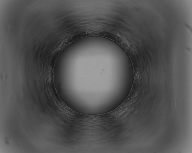 X0000093161012200709261031