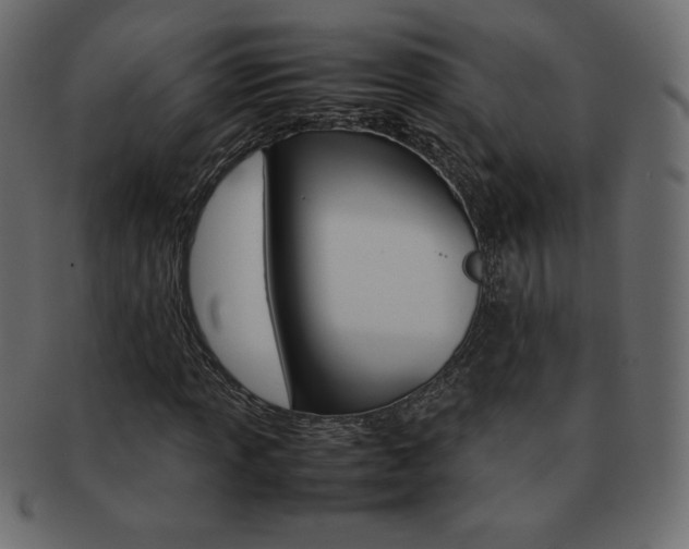 X0000093161013200709261031