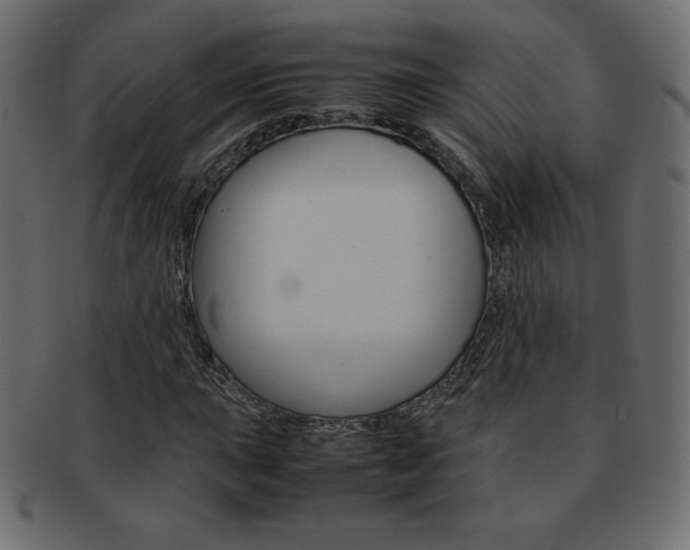 X0000093161015200709261031