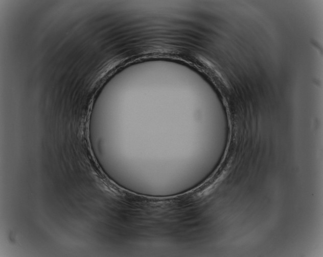 X0000093161017200709261031