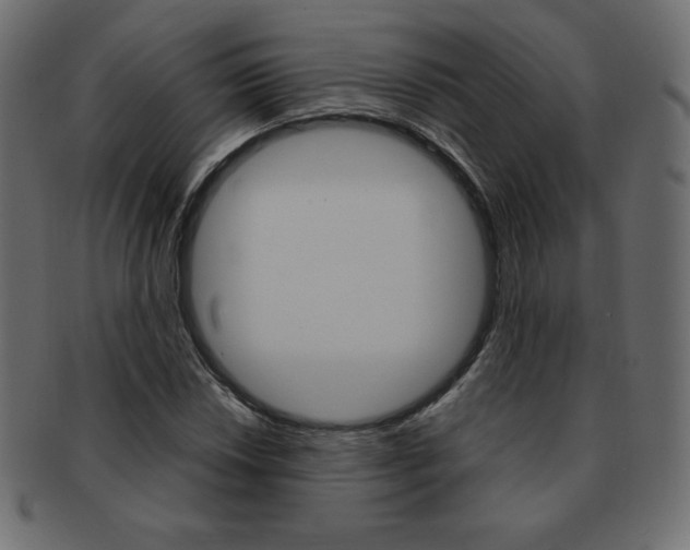 X0000093161018200709261031