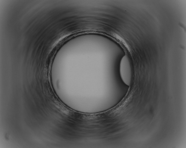 X0000093161019200709261031