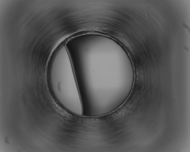 X0000093161020200709261031