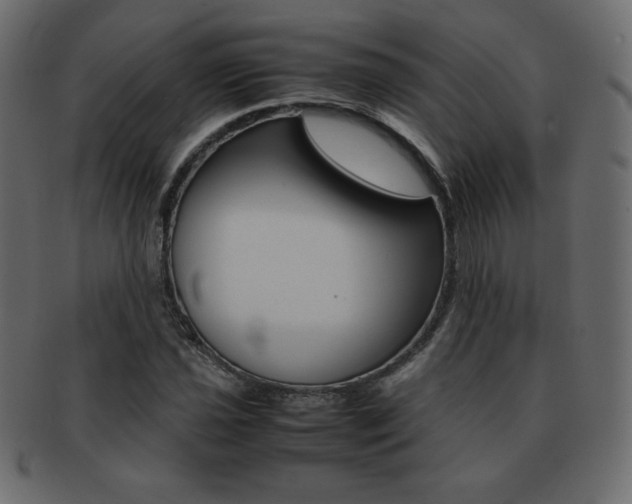 X0000093161021200709261031