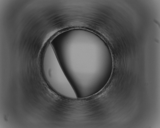 X0000093161022200709261031
