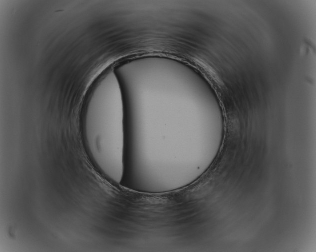 X0000093161023200709261031