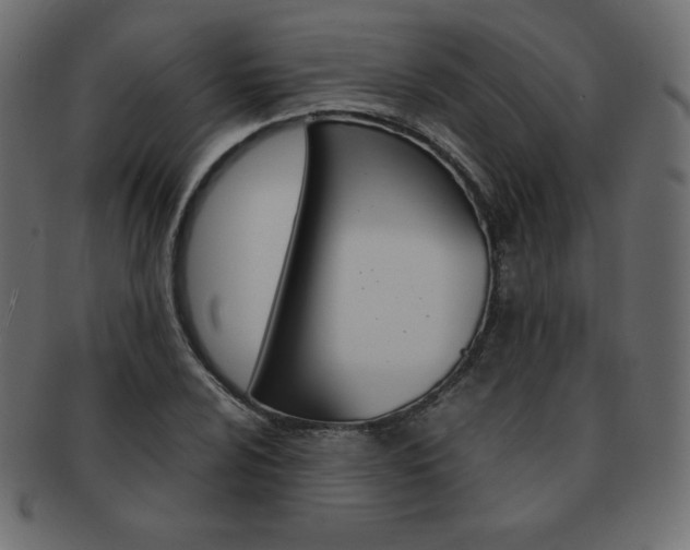 X0000093161024200709261031