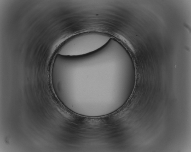 X0000093161027200709261032