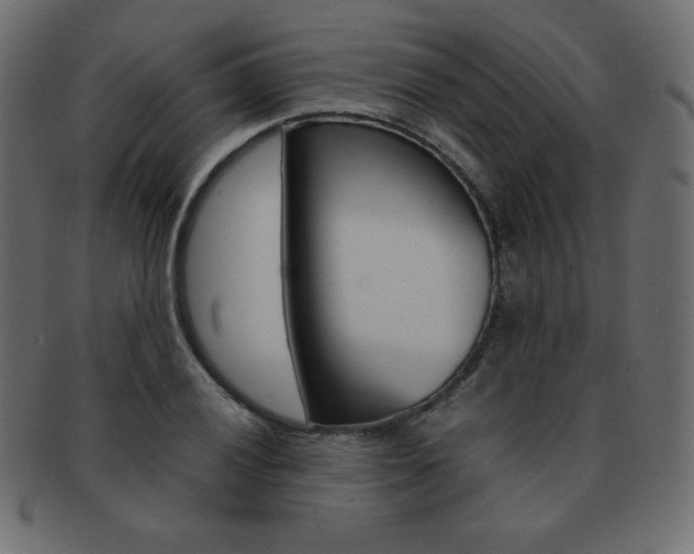 X0000093161028200709261032