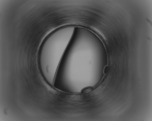 X0000093161029200709261032