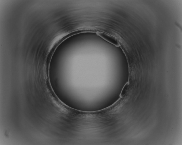 X0000093161030200709261032