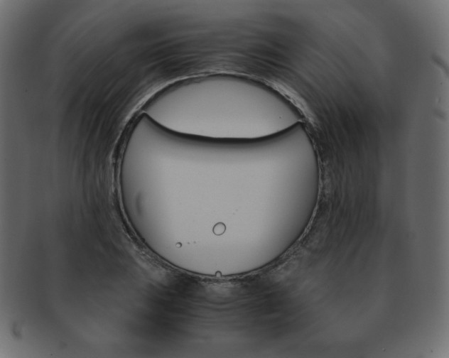 X0000093161031200709261032