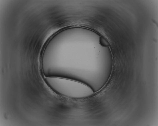 X0000093161032200709261032