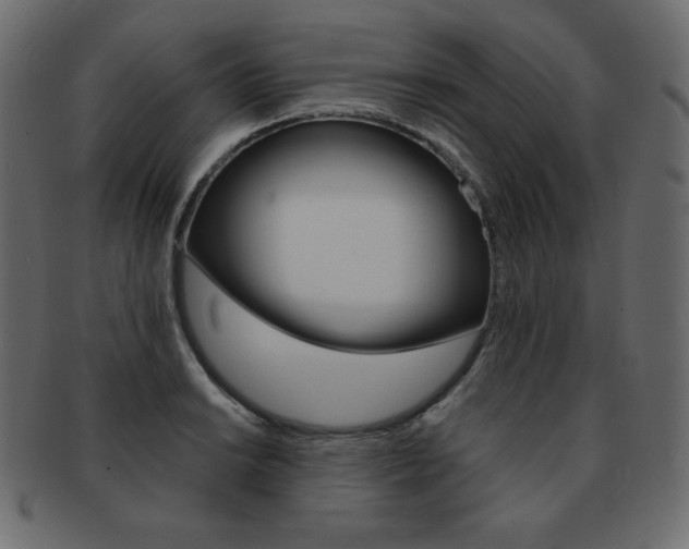 X0000093161038200709261032